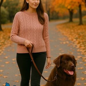 Sablyn Cashmere Cable Knit Sweater Large